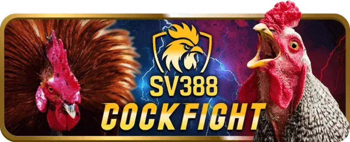 Hoàn trả hàng tuần cao nhất vin88 casino